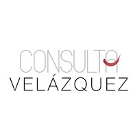 Consulta Veláquez logo - Similar company to Connectoma Neurotech