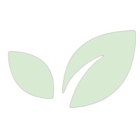 Mint Cashout logo - Similar company to T&E Consulting Llc