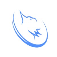 Lince Capital Securitizadora S.A. logo - Similar company to Securitizar