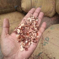 Cashew Husk Vietnam logo - Similar company to Viet Duc Cashew