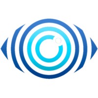 Vision Background Services logo - Similar company to Current Partnering