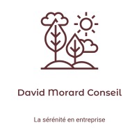 David Morard Conseil logo - Similar company to Alpes Conseil Informatique