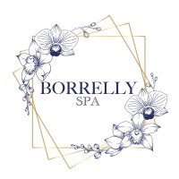 Borrelly Spa logo - Similar company to Dermo Laser Lyon
