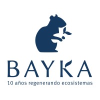 Bayka logo - Similar company to Eco House Global