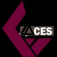 Aces Icoer