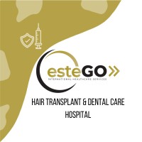 Estego logo - Similar company to Tramedi