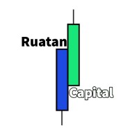 Ruatan Capital logo - Similar company to Hal51.Ai