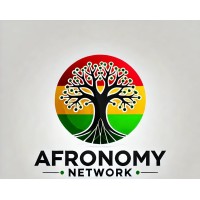 Afronomy Network logo - Similar company to Cellutech Information Technology