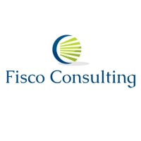 Fisco Consulting Srl logo - Similar company to Future World Designs