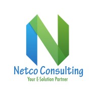 Netco Consulting logo - Similar company to The Firstcall Consulting, Inc