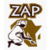 Zimbabwe Artists Project