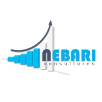 Nebari Consultores logo - Similar company to Pad [Systems | Soluciones]