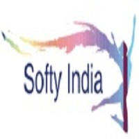 Softy India logo - Similar company to Jk Foresight