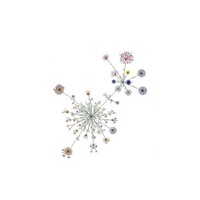 World-Coop Consortium (W2C)