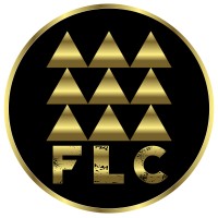 Freedom Lifestyle Creators FZCO logo - Similar company to Breakthrough Video