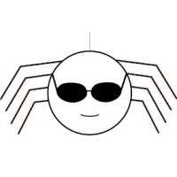 Laser Spider LLC logo - Similar company to Bajji, Inc.