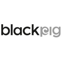 Black Pig Ltd logo - Similar company to Fetch Agency