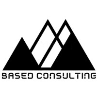 Based Consulting logo - Similar company to Manit Software