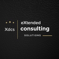 Xdcs logo - Similar company to Tsinghua University