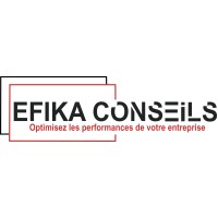 EFIKA CONSEILS logo - Similar company to Rls Pilotage