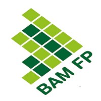 BAM Financial Planning logo - Similar company to Wealth Evolution Financial Planning