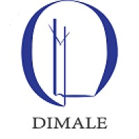DIMALE Consultoria logo - Similar company to Dxp Talent