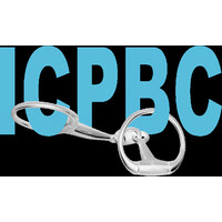 International College for Profesional Bitfit Consultants logo - Similar company to Konsilo