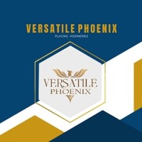 versatilephoenix logo - Similar company to Versatile Phoenix Hr Consultant