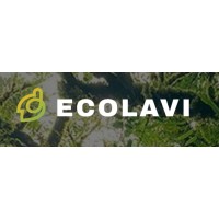 Ecolavi logo - Similar company to Itgest España