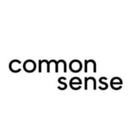 Common Sense Management Consulting logo - Similar company to Artozo