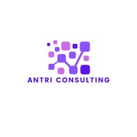 Antri Consulting logo - Similar company to Netone