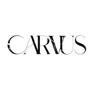 Carvus logo - Similar company to Defectech
