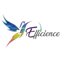 Efficience -  égalité professionnelle et santé au travail logo - Similar company to Human Training Concept (Santé Et Sécurité Au Travail)