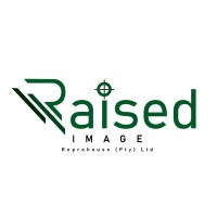Raised Image Reprohouse logo - Similar company to Acme Graphics (Pty) Ltd