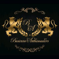 Business Ambassadors Ltd. logo - Similar company to Cloud Mint