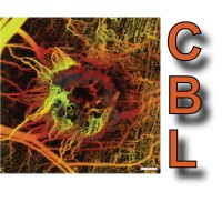 Cancer Biophysics Laboratory logo - Similar company to Anabiosi-Data Ltd