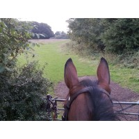 Happiness Horsebox CIC logo - Similar company to Chroma Church