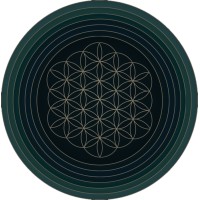 Haptic House logo - Similar company to Tune Ai