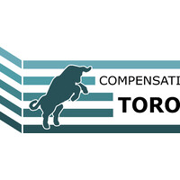 COMPENSATI TORO - S.P.A. logo - Similar company to Yomido