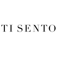 TI SENTO logo - Similar company to Hcp Young Professional