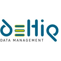 Deltiq - Experts in Data Management logo - Similar company to Besharp Experts - Independent Expertise On Software Licensing & It Contract Optimization