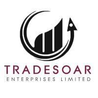 Tradesoar Enterprises Limited logo - Similar company to K & D Developers Limited