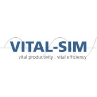 Vital-Sim Inc. logo - Similar company to Itedge Ca