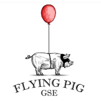 Flying Pig GSE LLC logo - Similar company to Allspeeds Ltd