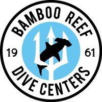 Bamboo Reef Scuba Diving Centers logo - Similar company to Force E Scuba Center