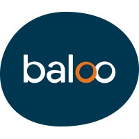 baloo logo - Similar company to Dlm Software