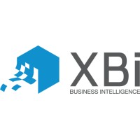 XBi Solutions logo - Similar company to Zur Analytics