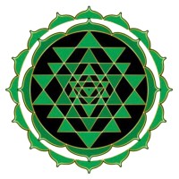 SK Consulting Group logo - Similar company to Shivtech