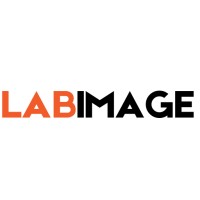 LabImage logo - Similar company to Macroanalysis