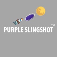 Purple Slingshot logo - Similar company to Malgudi Arts